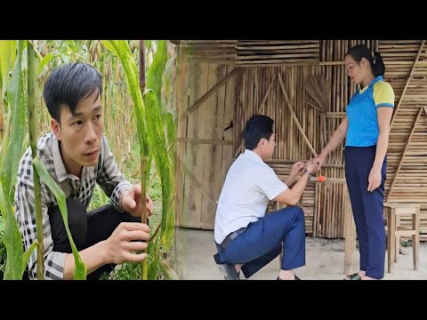 Видео: Бывший муж случайно стал свидетелем того, как другой мужчина сделал его жене предложение.