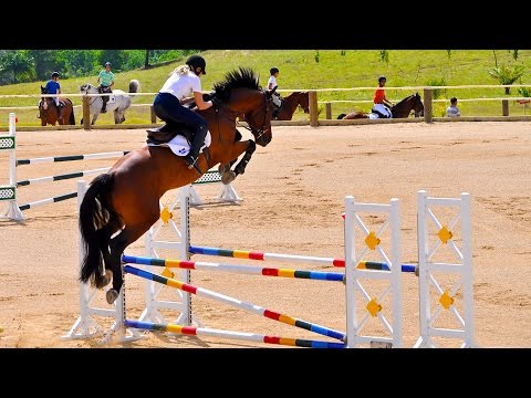 Видео: 130 см. Лошади 6 ти лет и старше. Конкур в Царичанке. СФХ "Лелеки". 26.06.2016 г.