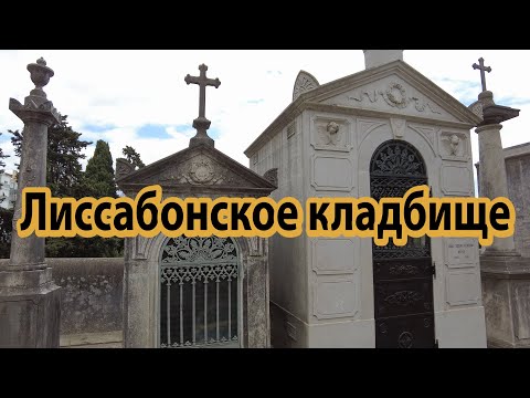 Видео: Кладбище в Лиссабоне/Кладбищенское искусство