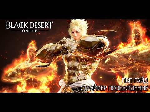 Видео: Black Desert Страйкер ПВП гайд (Пробуждение)