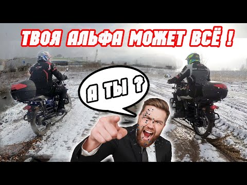 Видео: АЛЬФА ЕДЕТ ВЕЗДЕ, А ГОТОВ ЛИ ТЫ? Готовимся в зимний мотопоход на АЛЬФАХ.