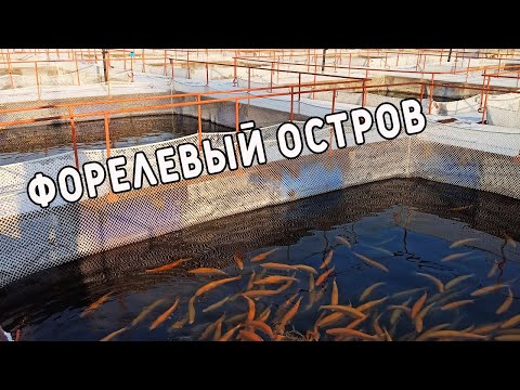 Видео: Форелевый остров (г. Иркутск)