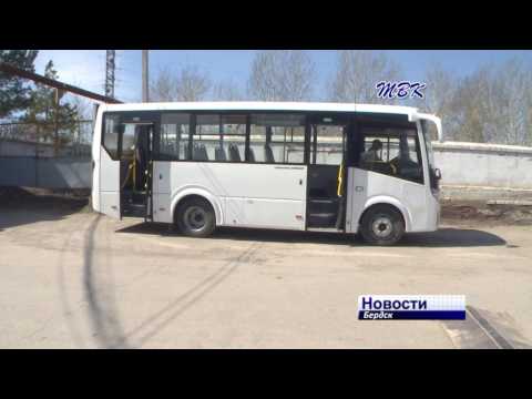 Видео: Новые автобусы Павловского автозавода пригнали в Бердск