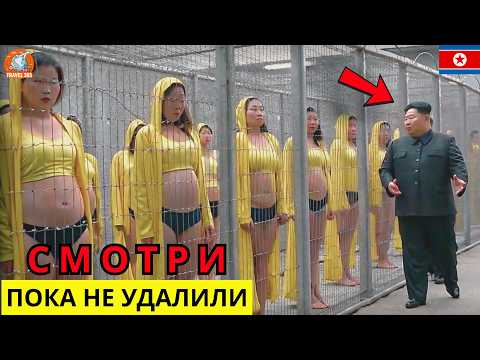 Видео: 10 Тёмных Тайн Империи Власти Ким Чен Ына, Которые Потрясли Весь Мир – Документальный Фильм