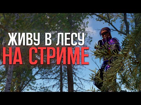 Видео: Обитаю в лесном биоме в Раст|Rust