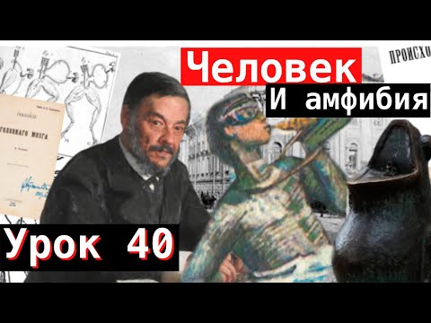 Видео: Урок 40. Человек и амфибия