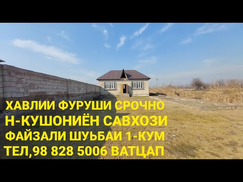 Видео: Хонахои фуруши ТЧ. Н-КУШОНИЁН ЧИСЛОИ 26,01,2025,СОЛ.
