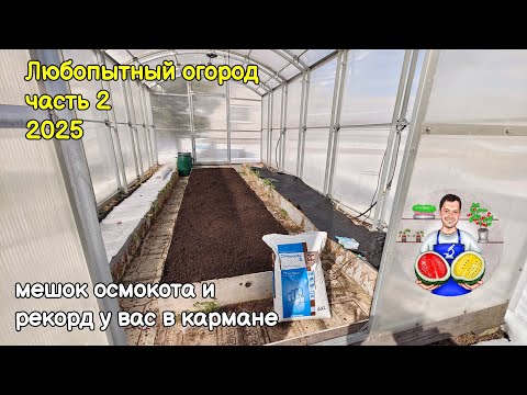 Видео: Любопытный огород часть 2 (2025)