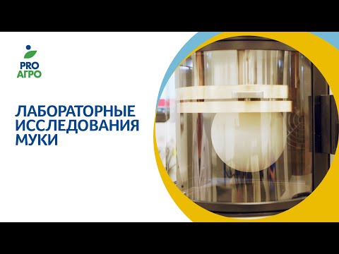 Видео: Лабораторные исследования муки