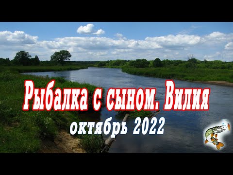 Видео: Октябрь, река Вилия, спиннинг, рыбалка с сыном