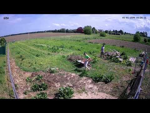 Видео: Быстрый покос мотоблоком с косилкой