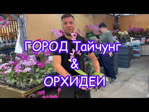 Видео: Продавцы спят и ОРХИДЕЙ практически нет!!! ЧТО ПРОИСХОДИТ В ТАЙВАНЕ?