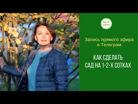 Видео: Планировка маленьких садов.  Особенности планирования #садпоновому #школадизайна #сад #полезное