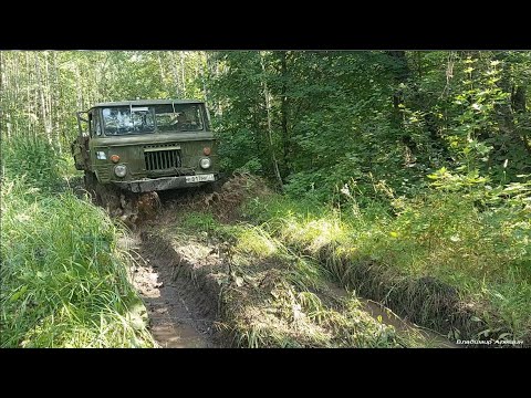 Видео: ГАЗ-66 по грязи в ЛЕС! Бездорожье! On the legendary GAZ-66 truck through the mud into the forest