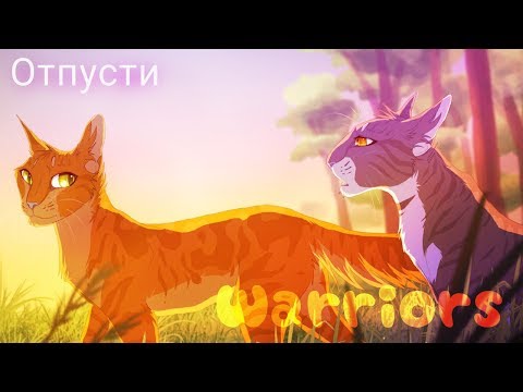 Видео: Коты-Воители | Отпусти