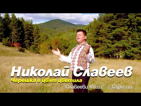 Видео: 【4K】Николай Славеев - Черешка е цвят цветила / Nikolay Slaveev-Chereshka e cviat cvetila (2023)