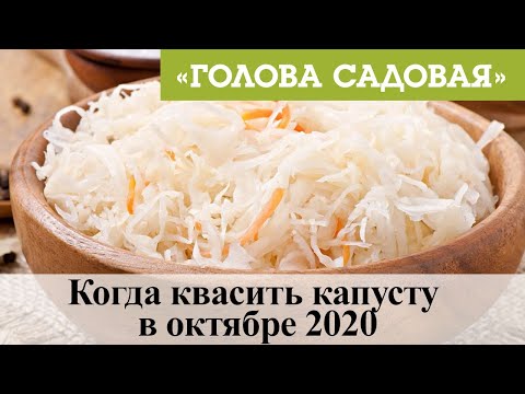 Видео: Голова садовая - Когда квасить капусту в октябре 2020