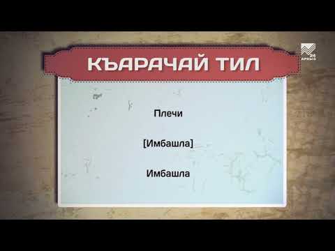 Видео: Разговорник (карачаевский язык) (03.11.2022)