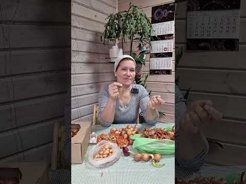 Видео: Как похудеть к лету