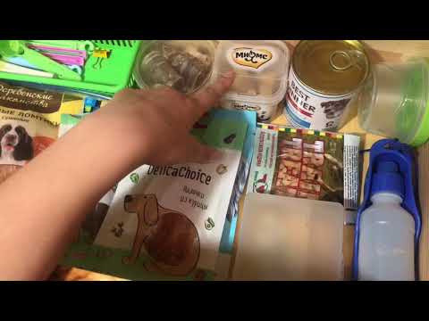 Видео: Уборка вещей моей собаки/ Все вещи моей собаки(ну почти все)