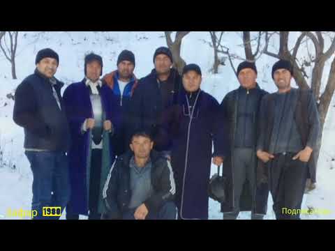 Видео: Хамсифо