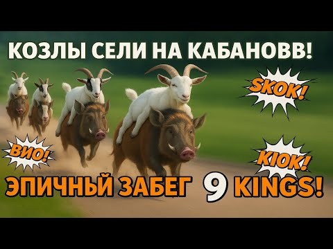 Видео: Козлы оседлали кабанов… и началась битва века 9 Kings