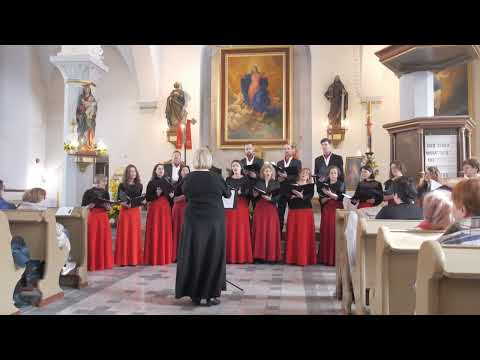 Видео: П.Динев -Достойно есть