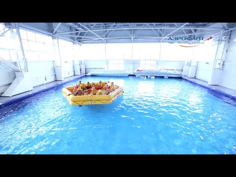 Видео: На что способны настоящие стюардессы?