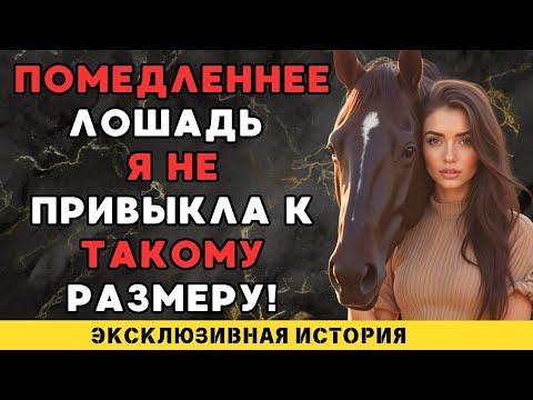 Видео: Я была удивлена когда моя лошадь показали это...