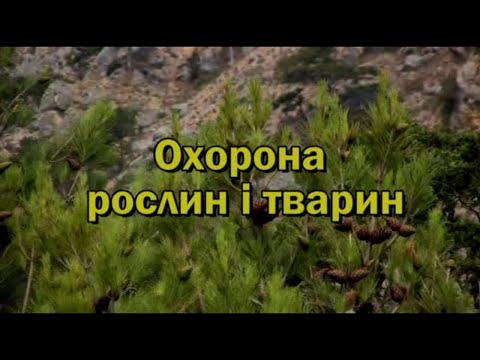 Видео: Охорона рослин і тварин. 22 квітня - Всесвітній День Землі.