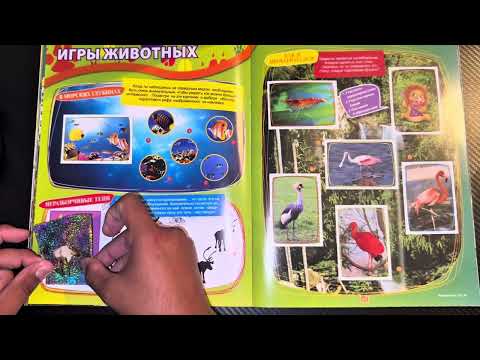 Видео: Panini Super Animals | Выпуск #9 (Полностью собранный альбом) 