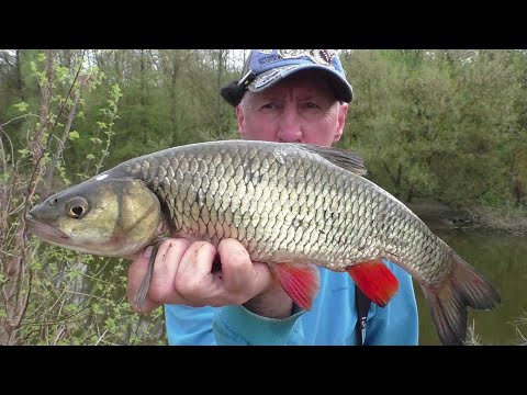 Видео: Обычная рыбалка