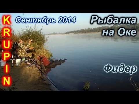 Видео: Р. Ока. Фидер. Несколько дней "бабьего лета" на рыбалке...