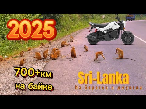 Видео: Шри-Ланка 2025|Галле Сигирия на скутере