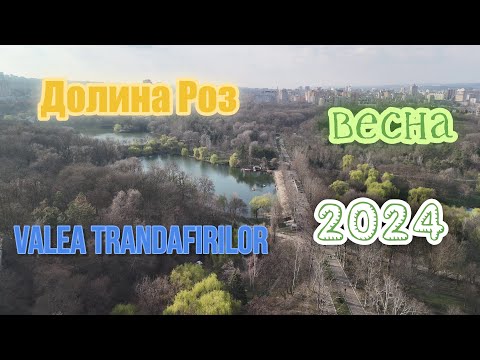 Видео: Долина Роз | Valea Trandafirilor - парк мечты в Кишинёве!