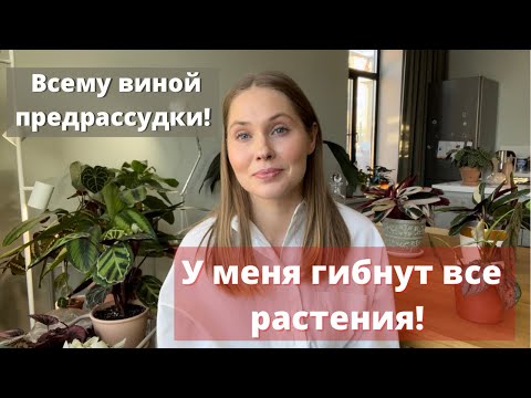 Видео: У меня гибнут все растения! Или всему виной предрассудки!