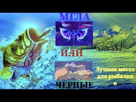 Видео: Лучшие места для рыбака Albion Online и фарм с них | Pro Leto