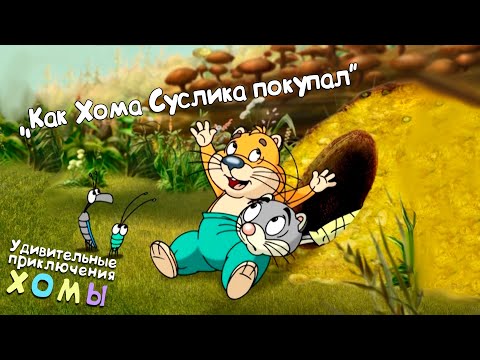 Видео: Удивительные приключения Хомы: Как Хома Суслика покупал