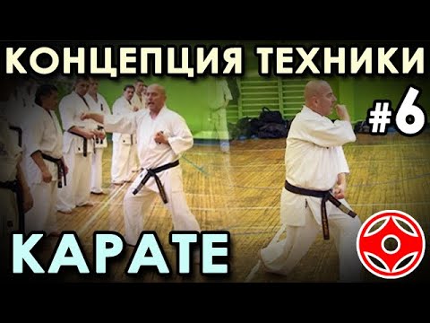 Видео: Использование РАССЛАБЛЕННОСТИ и ХЛЕСТА в технике Карате. Семинар Ханши Адеми ИСТВАНА (8 Дан) – 6.