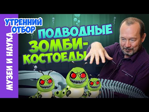 Видео: Черви-зомби поедают кости китов и зубы акул. Об удивительных открытиях на дне океана Игорь Фадеев.