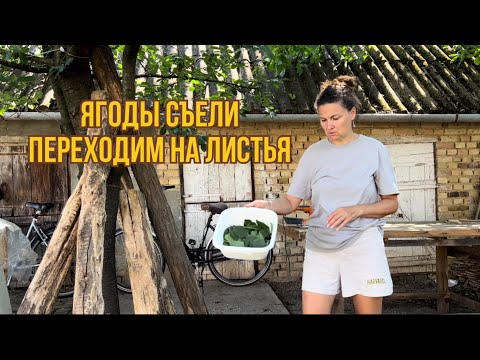 Видео: Наши расходы на жизнь в Сербии #жизньзаграницей #переездвсербию #покупканедвижимости #сербия #ремонт