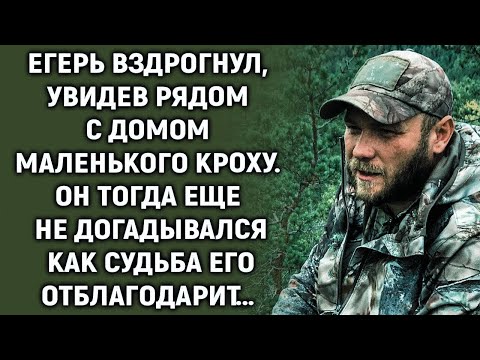Видео: Бомж нашел чемодан на мусорной свалке, а открыв его, замер…
