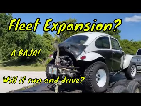 Видео: Мы спасли что? А оно поедет и поедет? Брошенный Фольксваген Жук Баха! - 1