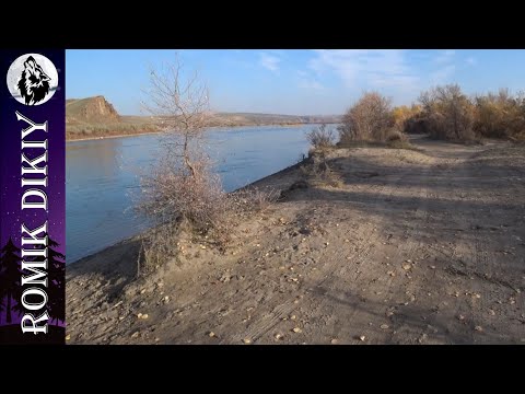 Видео: Первый заяц сезона. Разведка в О/х Сункар.