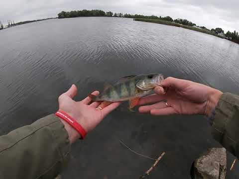 Видео: Рыбалка на ультралайт, мормышинг. Тэст спиннига ZEMEX, пробуем новые мормышки от Jig-Sinkers.