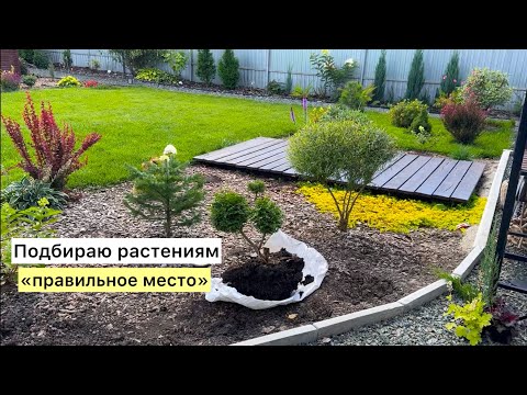Видео: Сезон заканчивается, но НЕ расслабляемся! Сажаем, пересаживаем то, что откладывали всё лето!