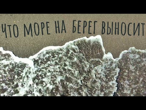 Видео: Что море на берег выносит? Накопали всякого