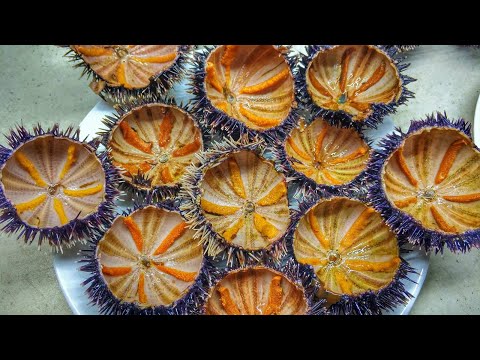 Видео: Морской еж икра:  как есть и какие
