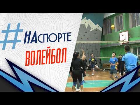 Видео: Волейбол | #НАспорте