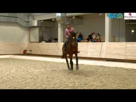 Видео: Мастер класс Катрины Вюст в Maxima Stables 01.02.15 - 3